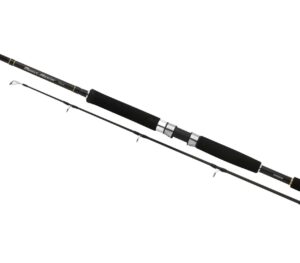 SHIMANO BEASTMASTER PILK RODS