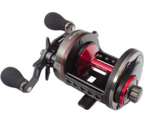 Daiwa - Multipliers – Mainwarings Fishing