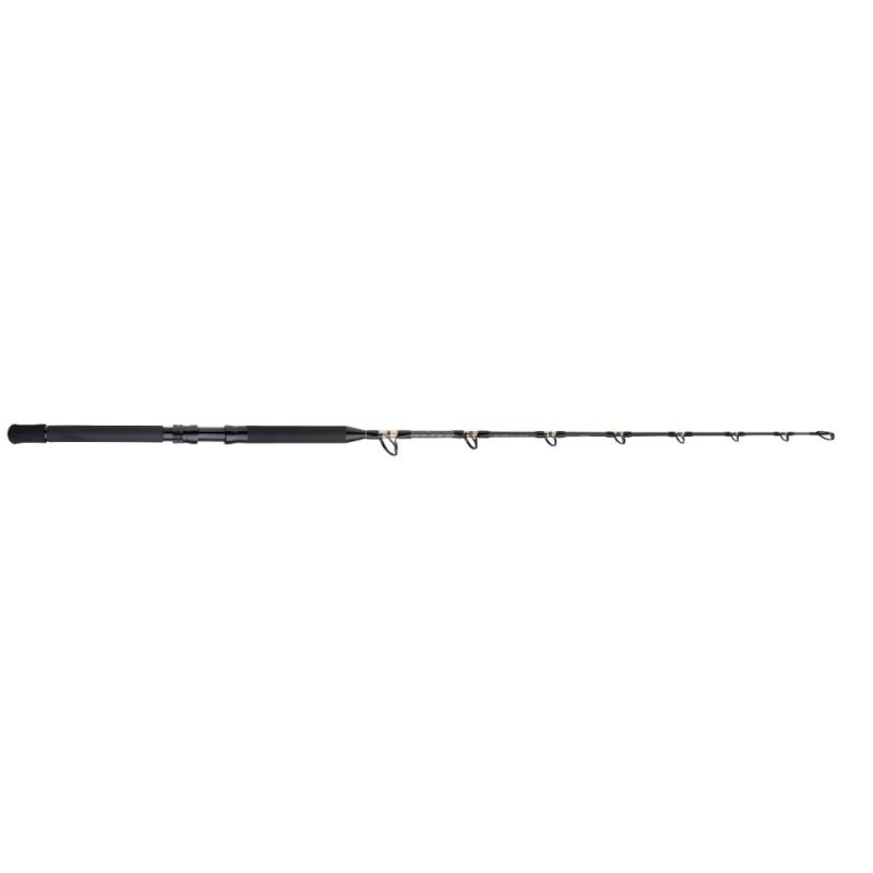 SHIMANO TLD B 80LB STAND UP