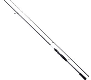 SHIMANO BASSTERRA XT+ 9`6MH 15-65G